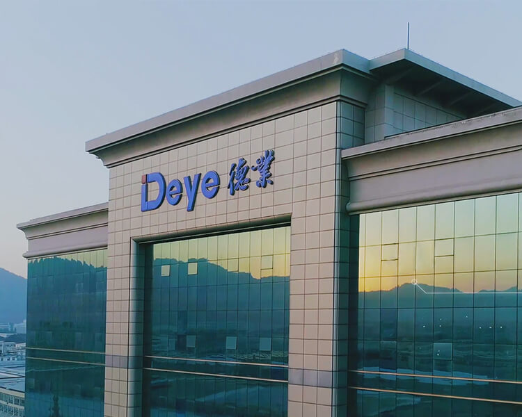 About Deye